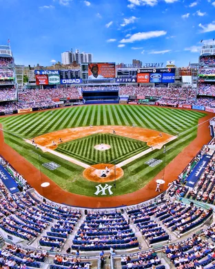 New York Yankees Phoenix